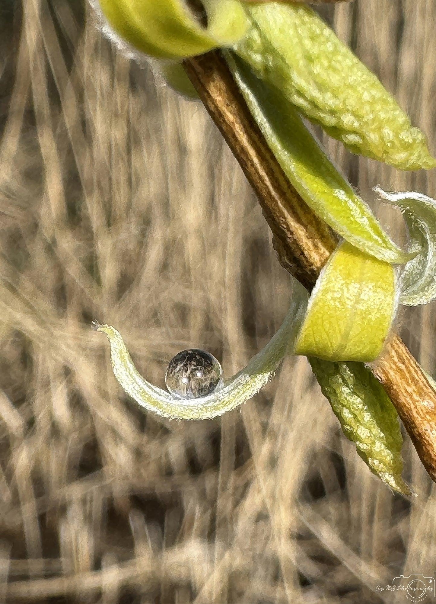 Belle goutte d'eau_V209