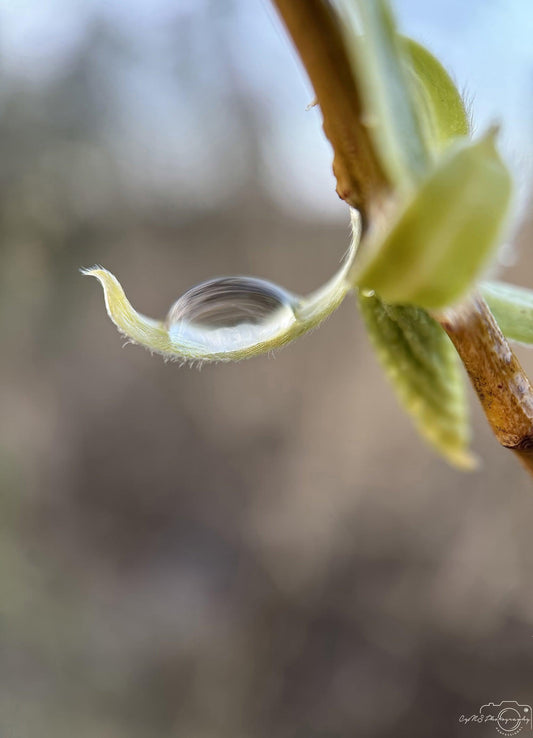 Beautiful water drop_V214