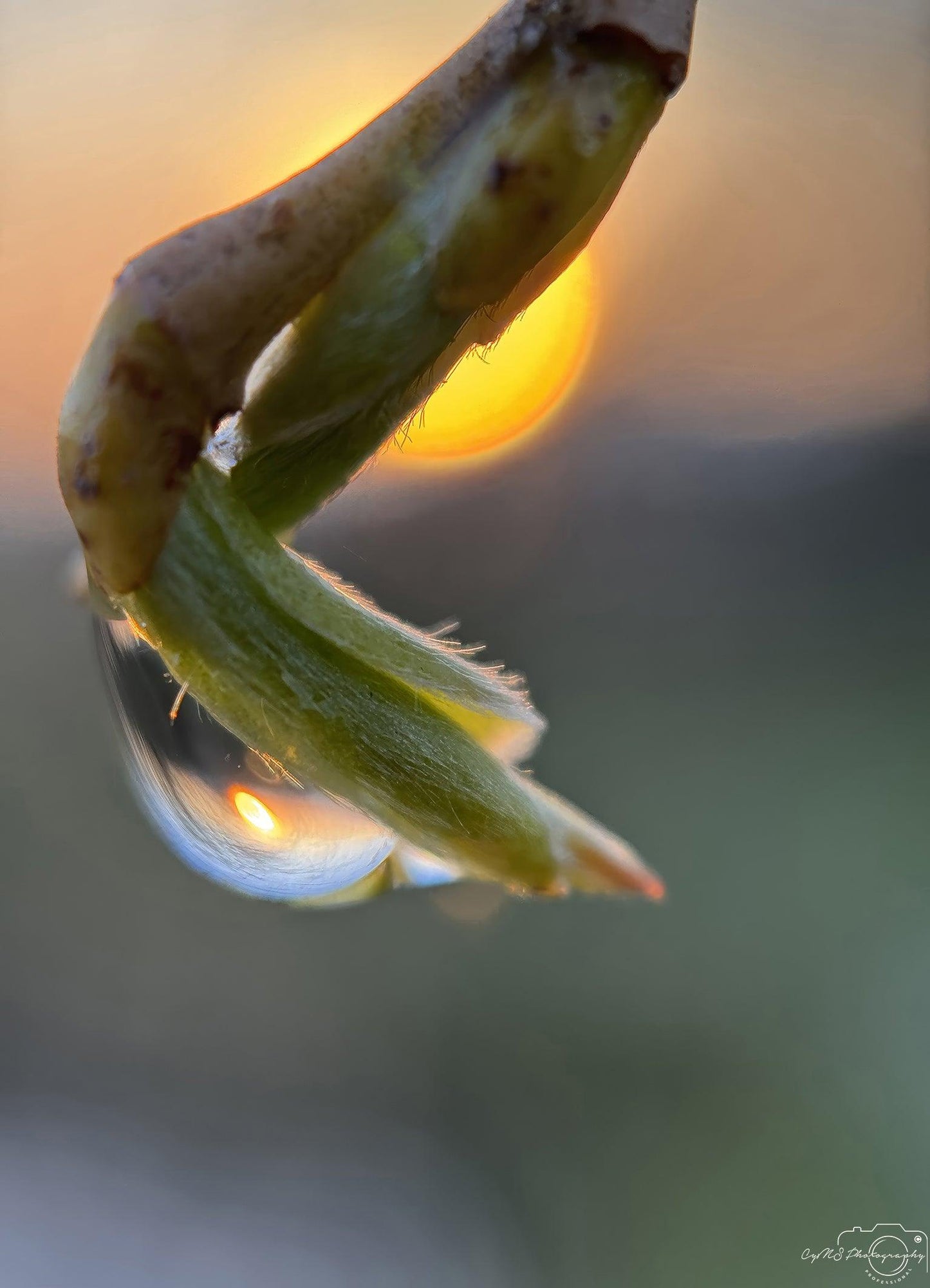 Belle goutte d'eau_V225