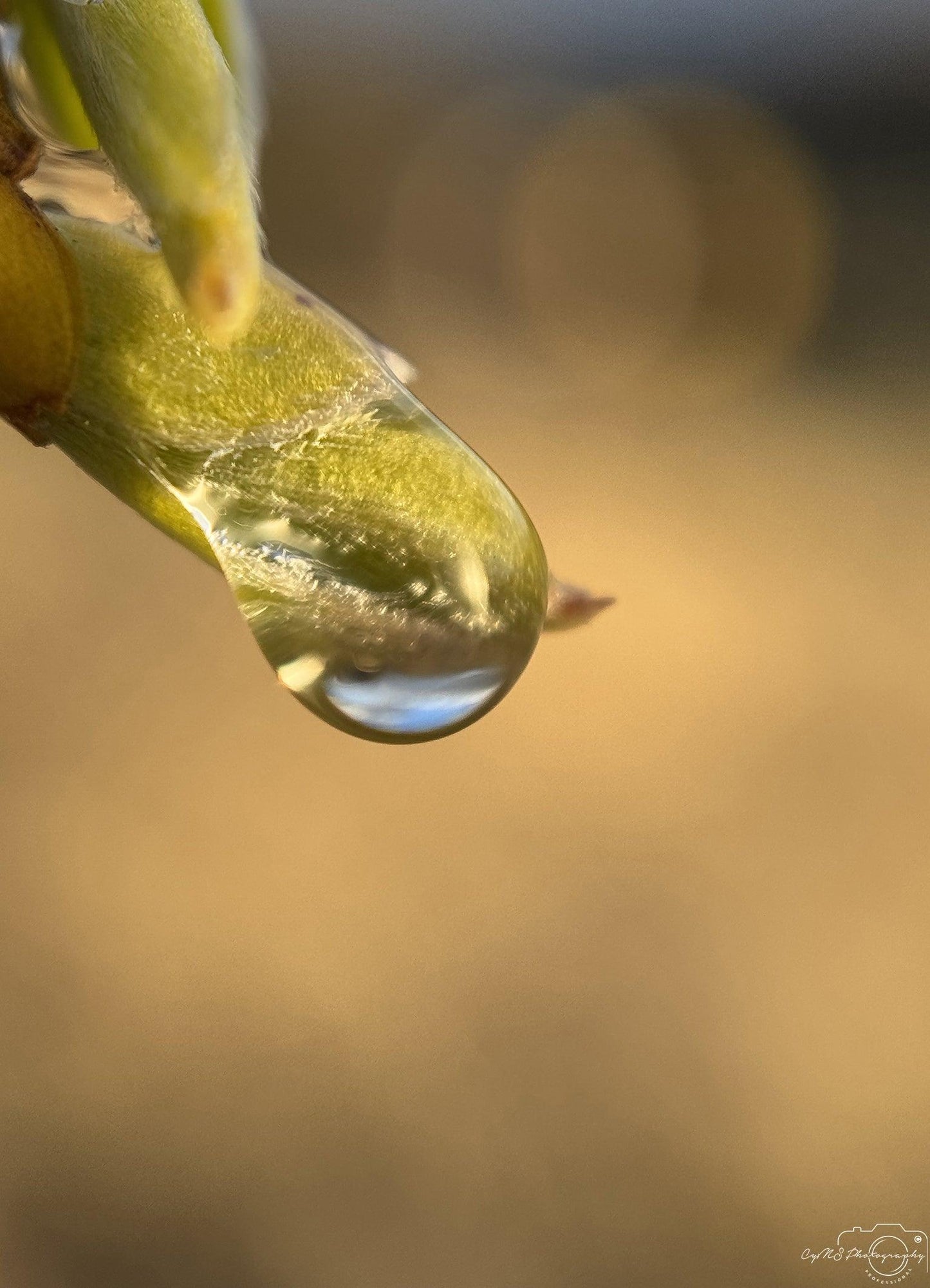 Belle goutte d'eau_V229