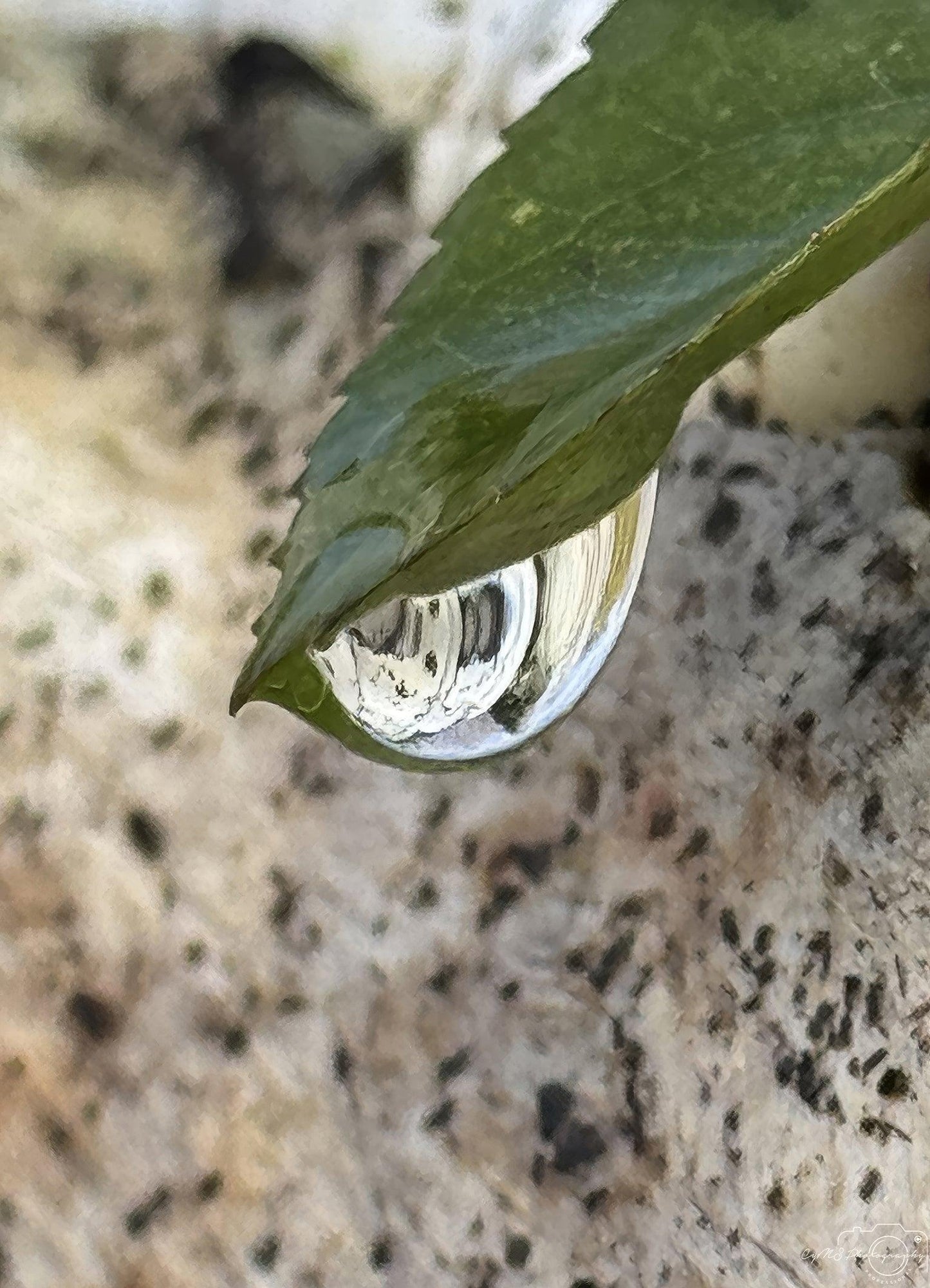 Beautiful water drop_V231