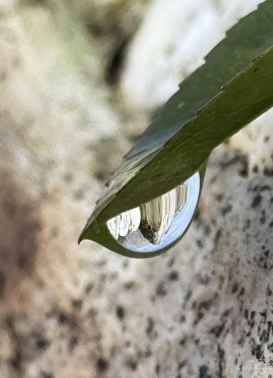 Beautiful water drop_V232