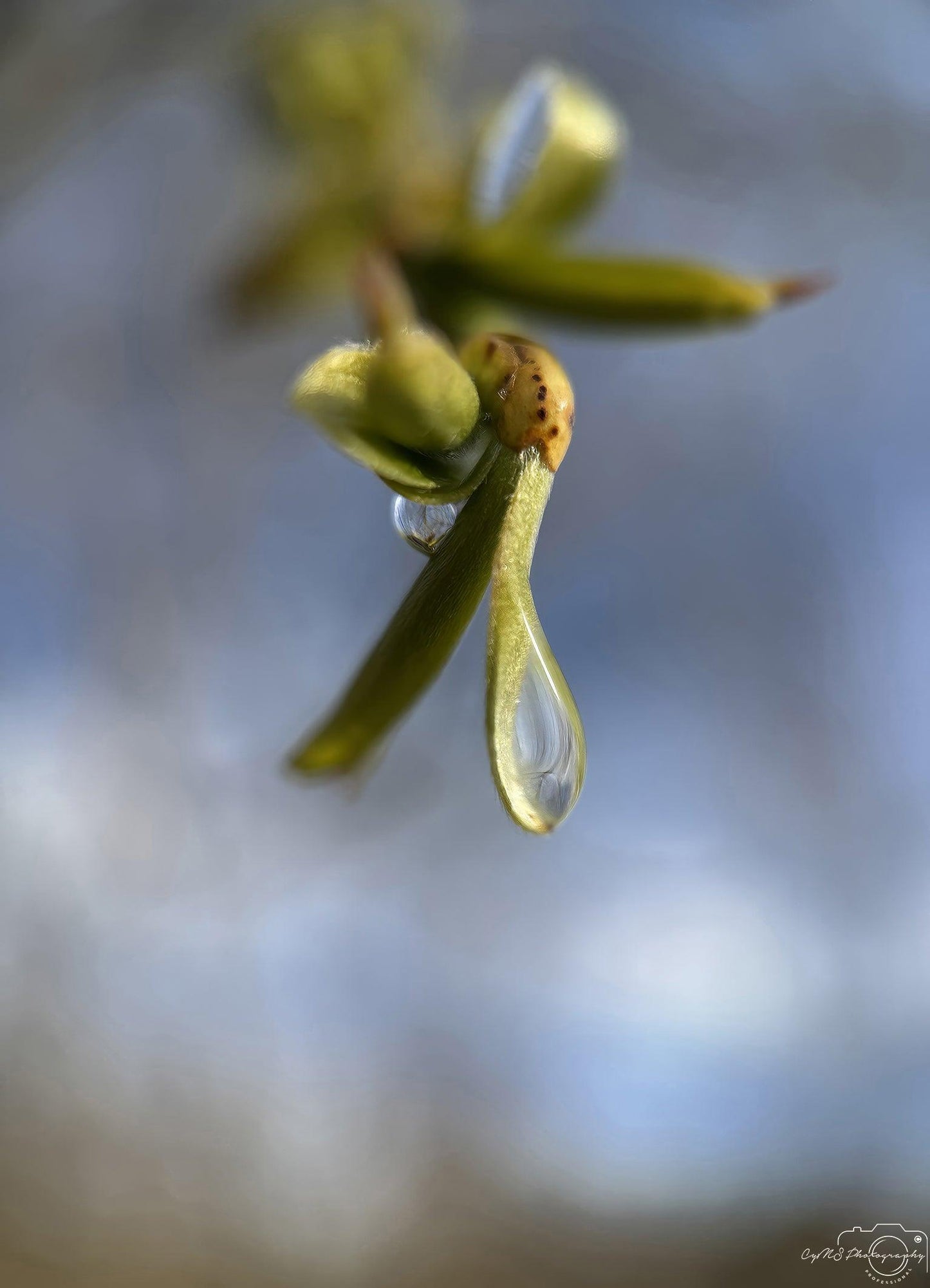 Beautiful water drop_V234