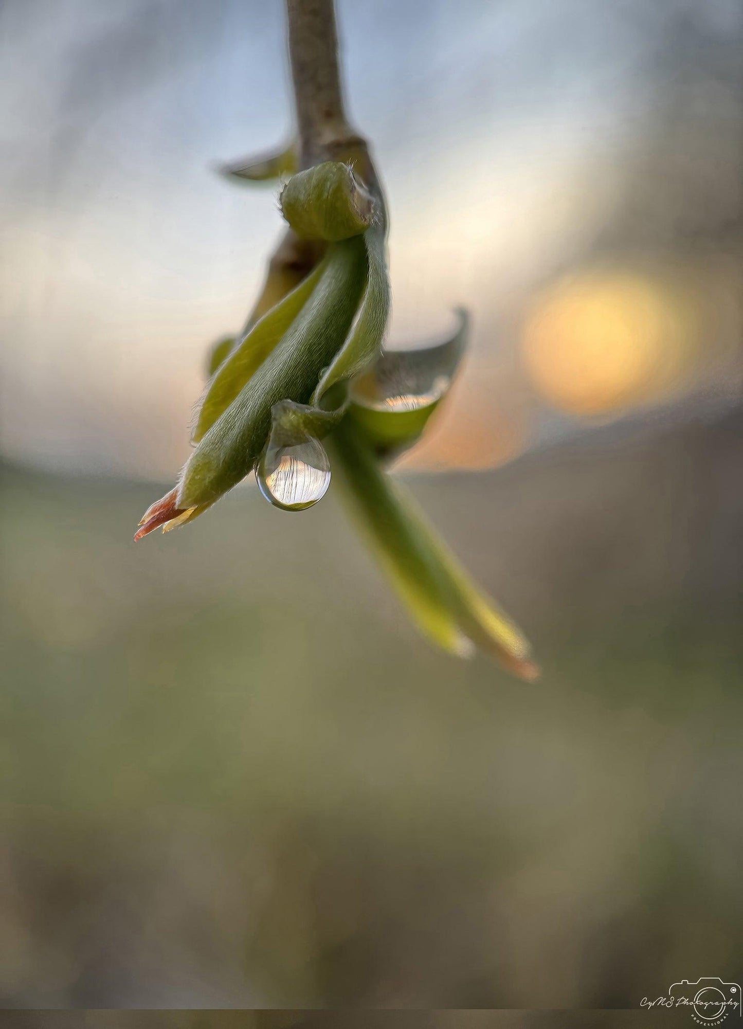 Belle goutte d'eau_V235