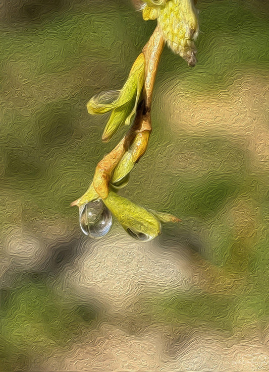 Beautiful water drop_V236_oil painting