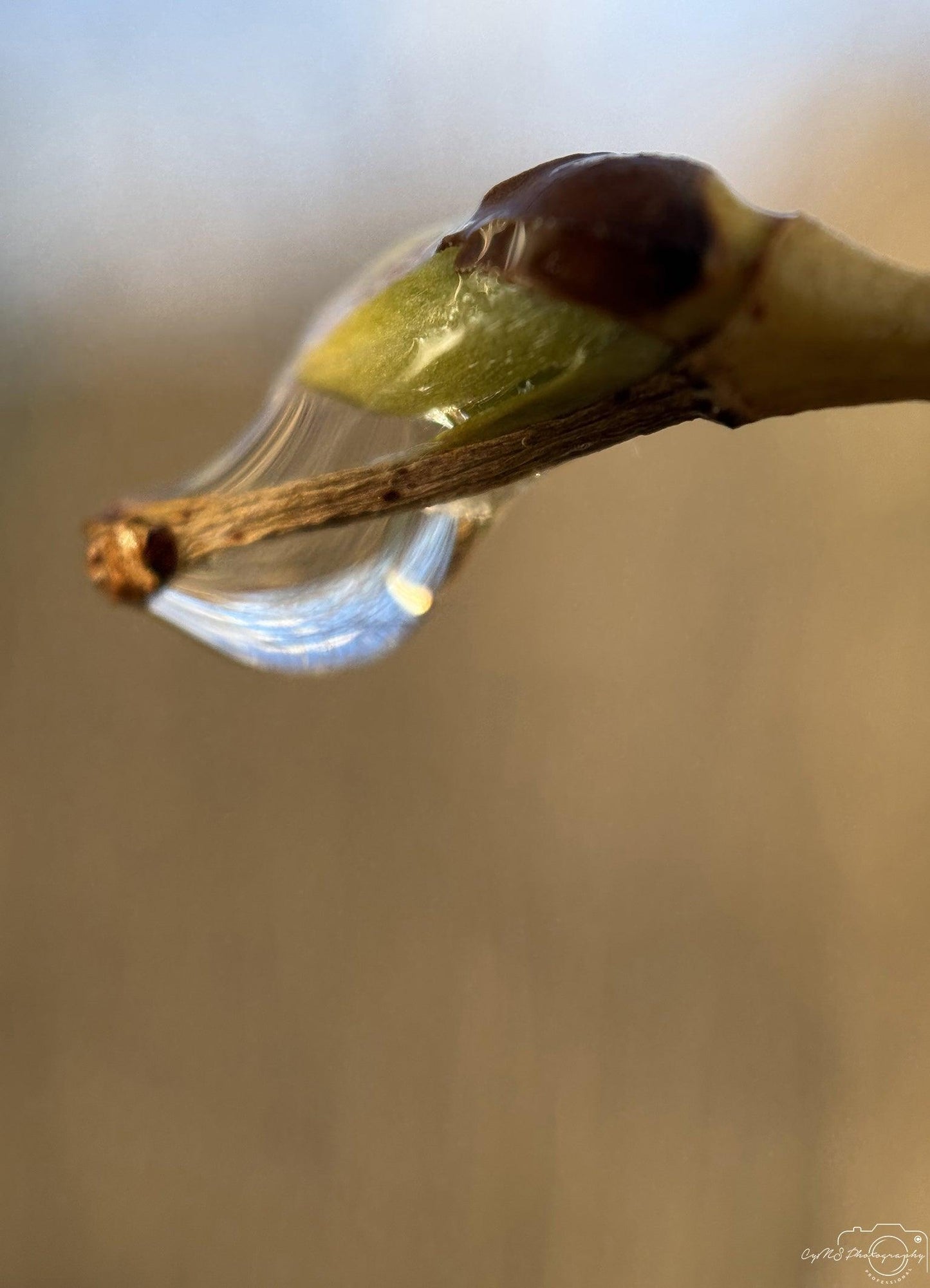 Belle goutte d'eau_V238