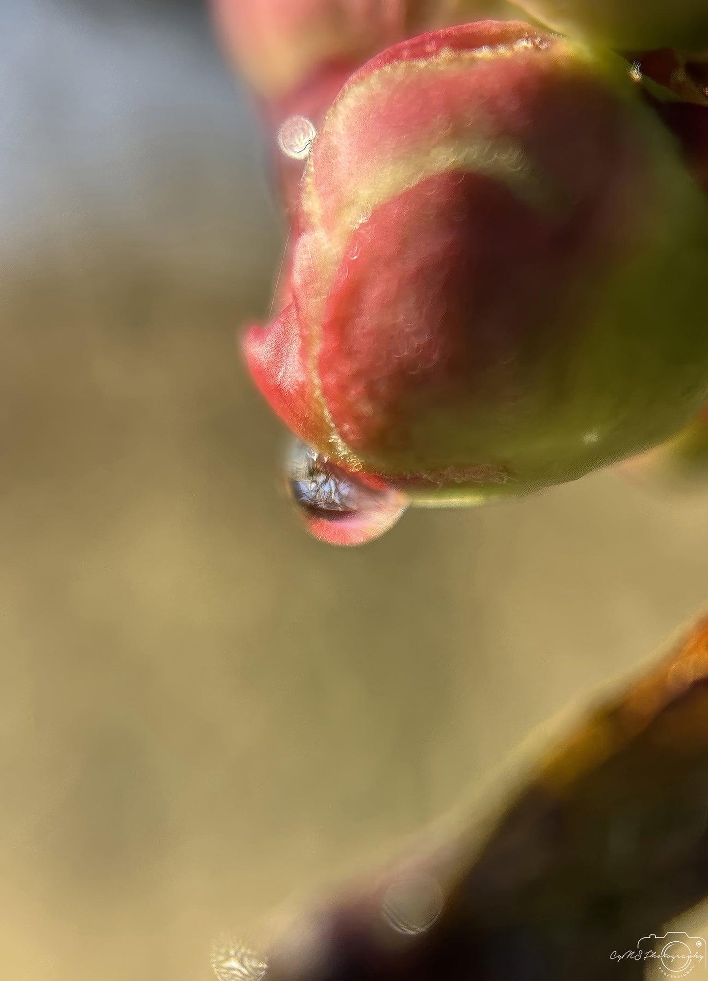 Belle goutte d'eau_V239