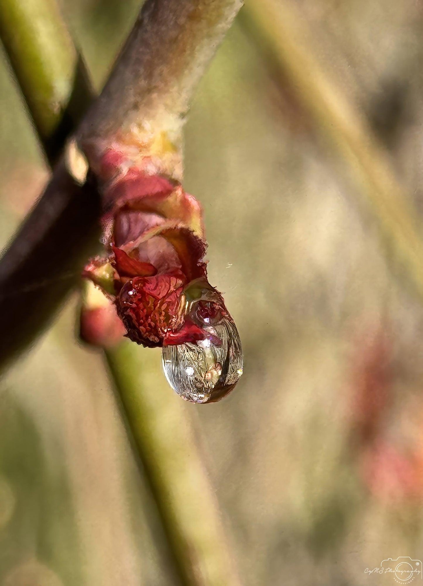 Beautiful water drop_V240