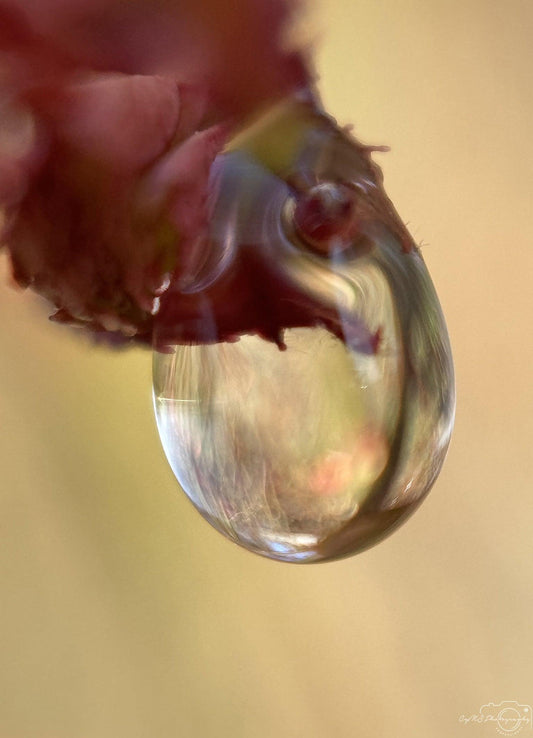 Beautiful water drop_V241