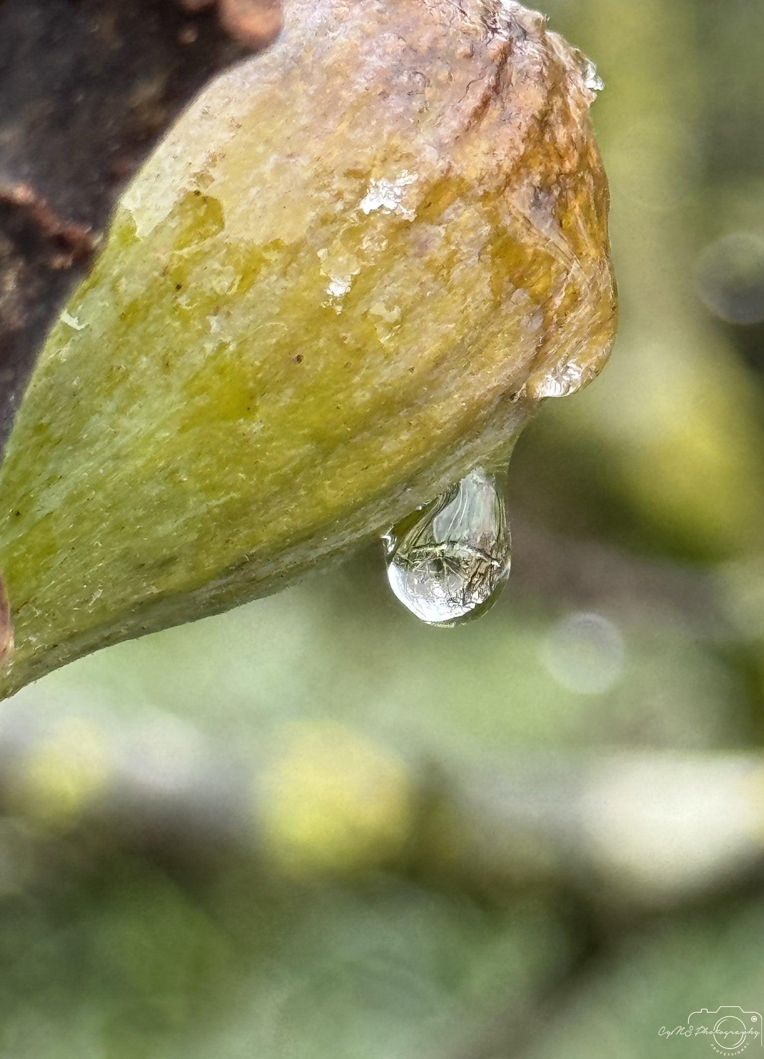 Beautiful water drop_V024 - Superbpictures