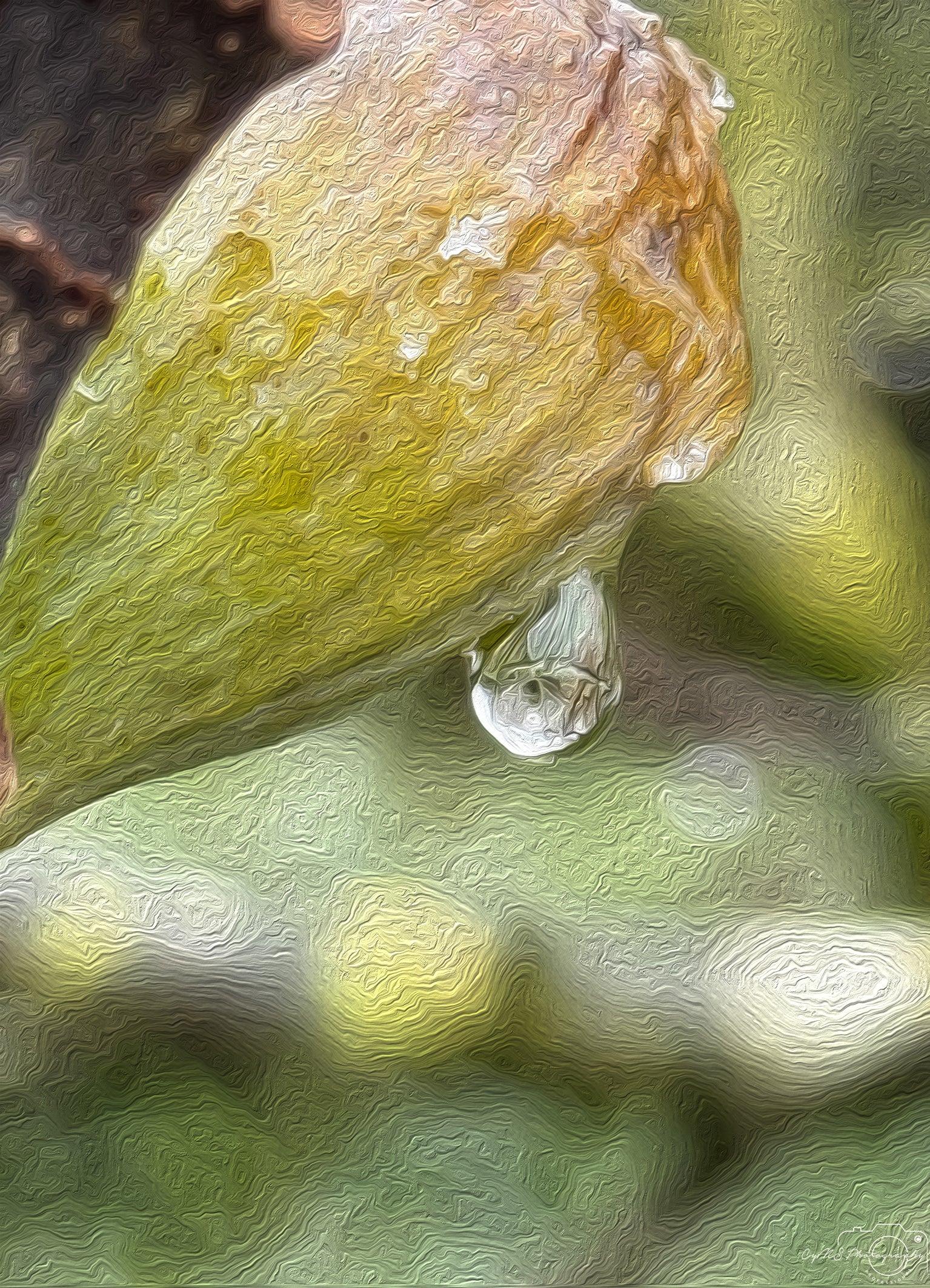 Beautiful water drop_V024_oil painting - Superbpictures