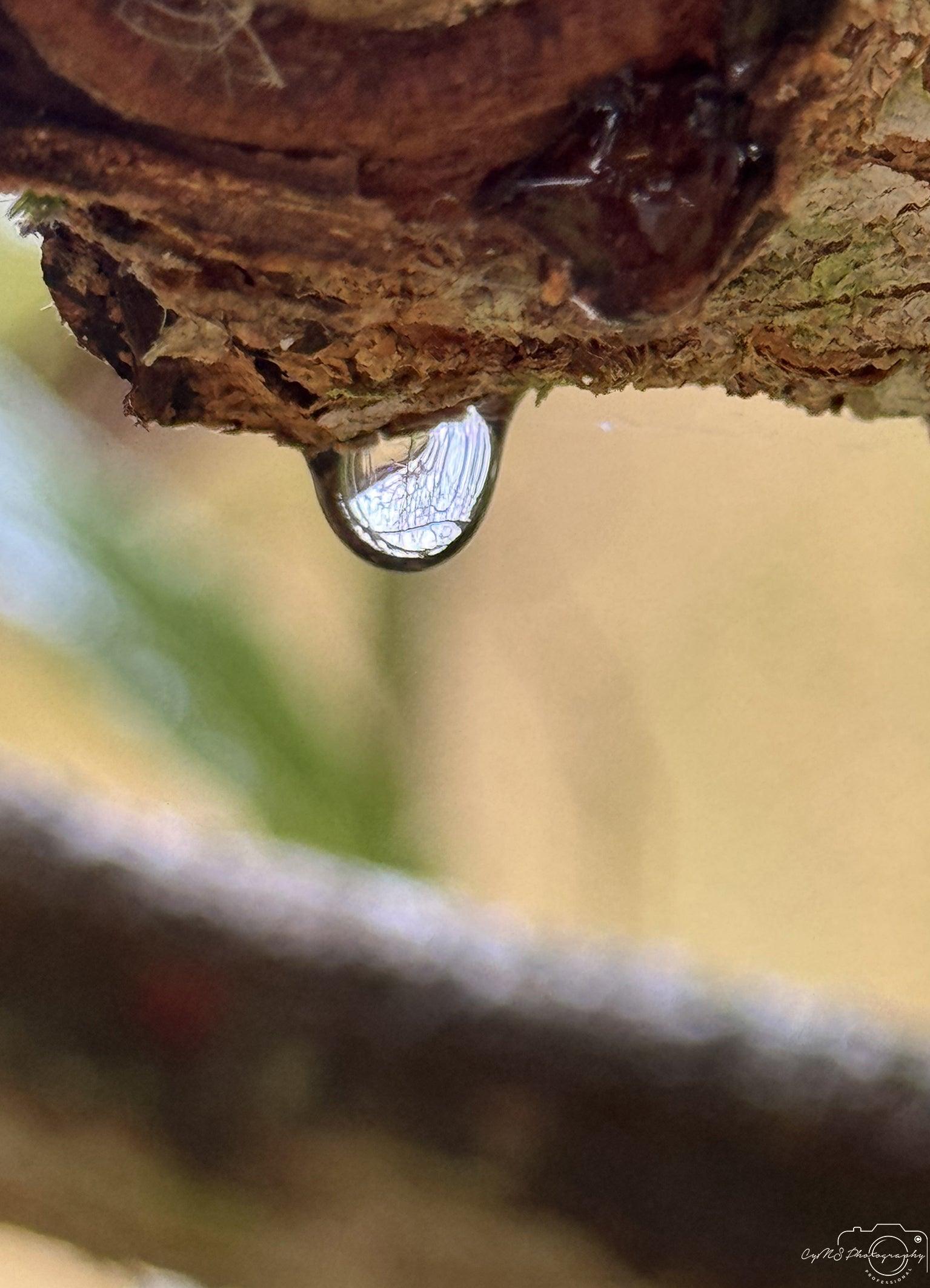 Beautiful water drop_V029 - Superbpictures