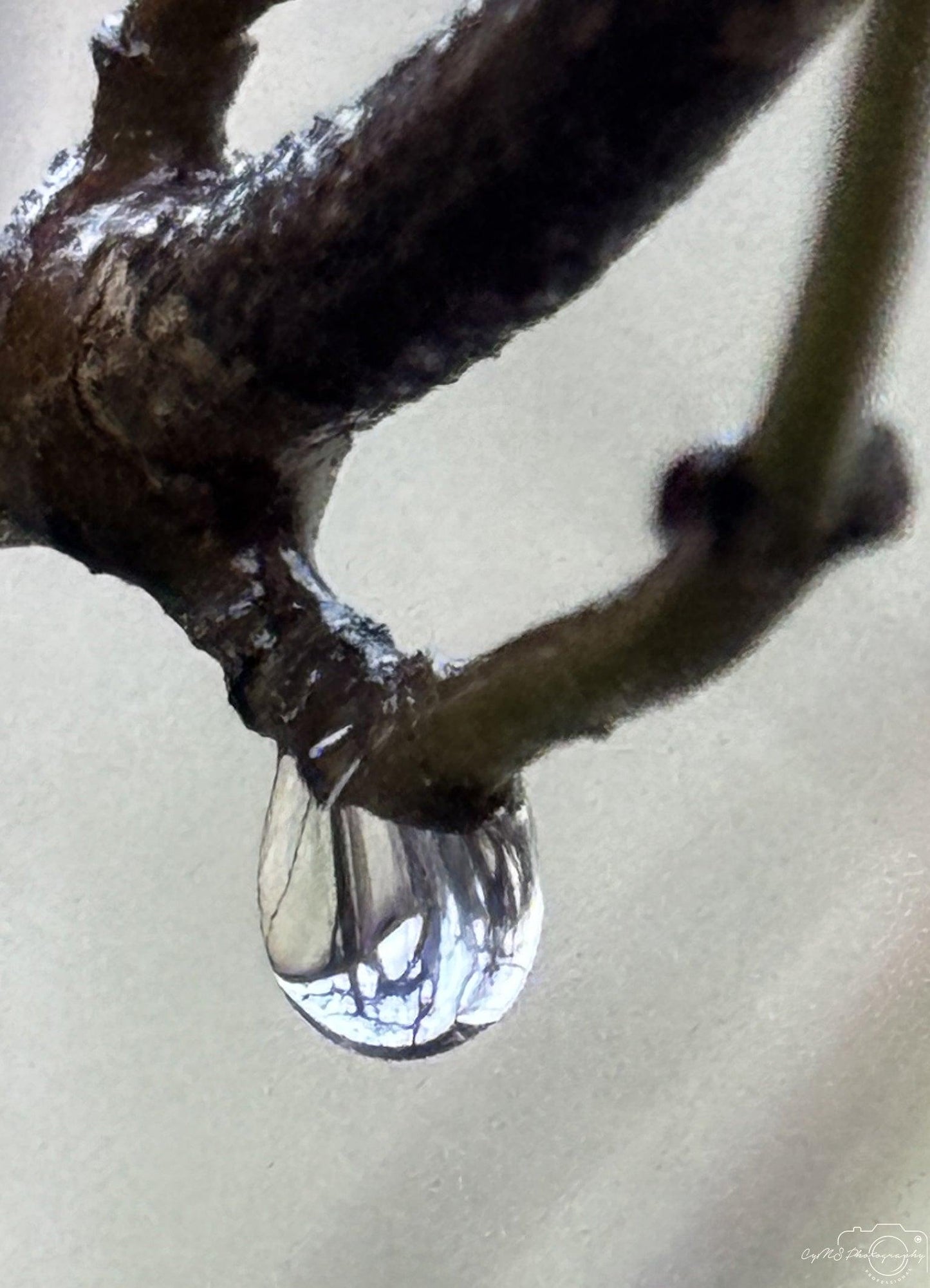 Beautiful water drop_V032 - Superbpictures