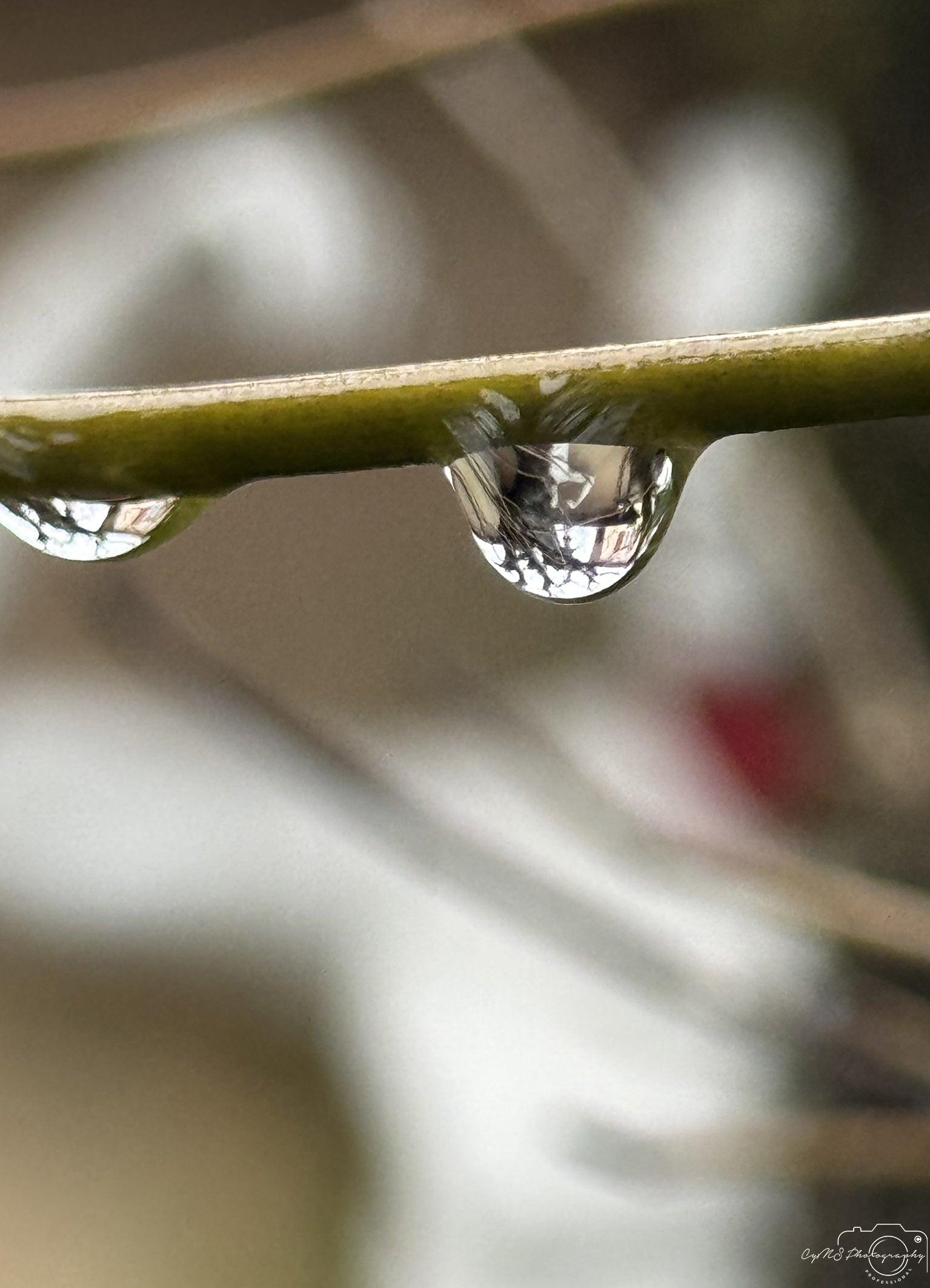 Beautiful water drop_V034 - Superbpictures