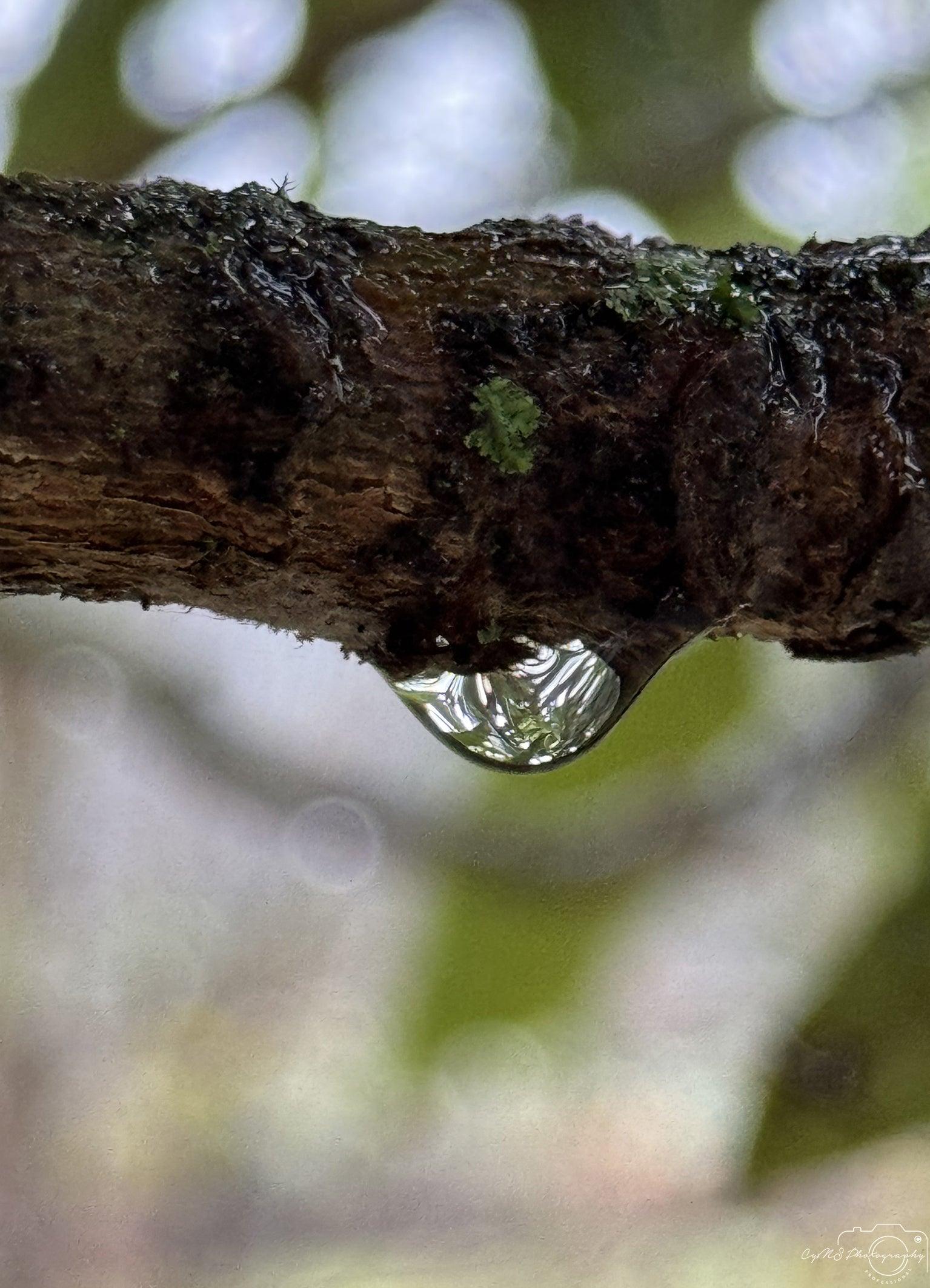 Beautiful water drop_V035 - Superbpictures