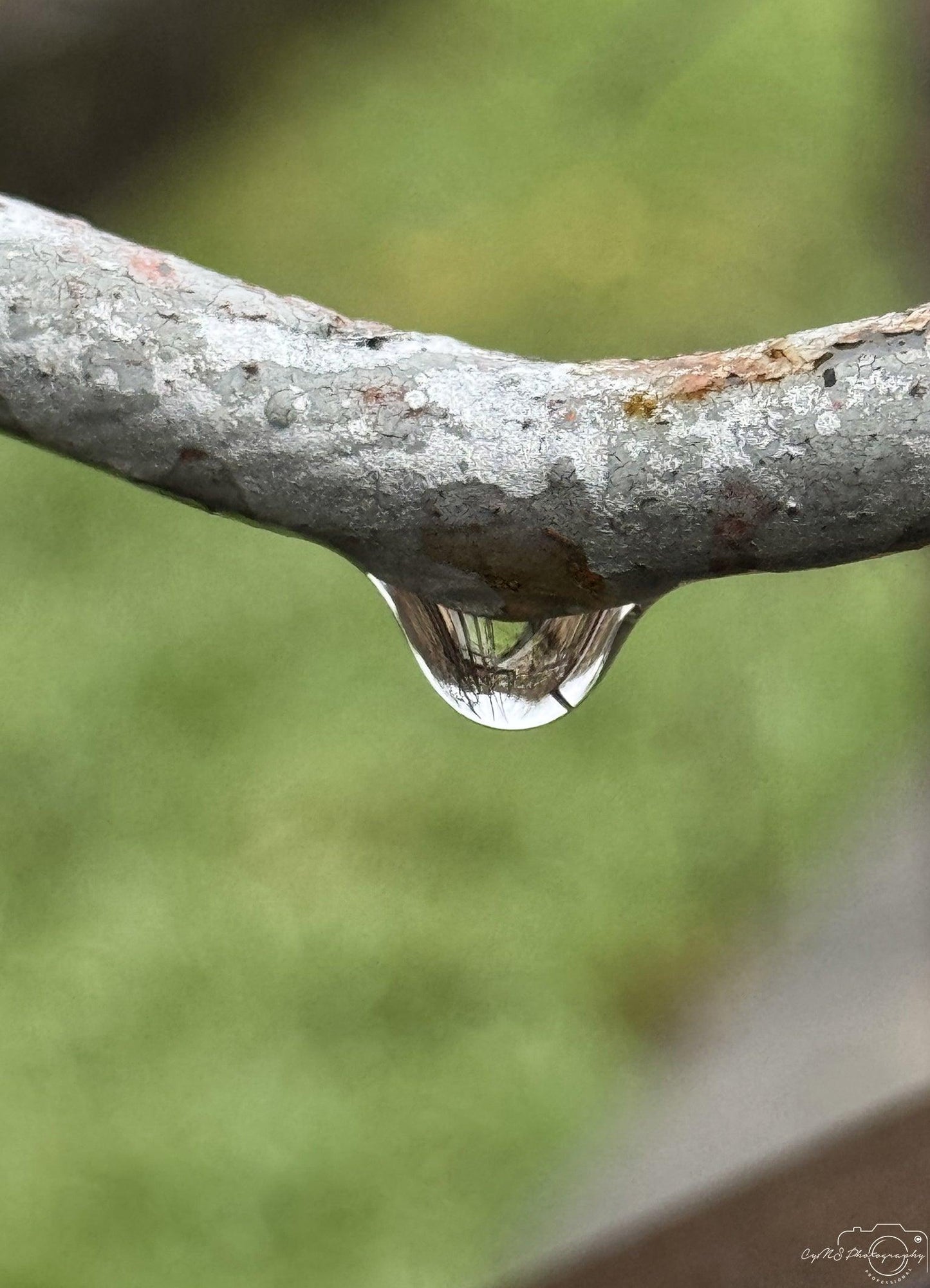 Beautiful water drop_V036 - Superbpictures