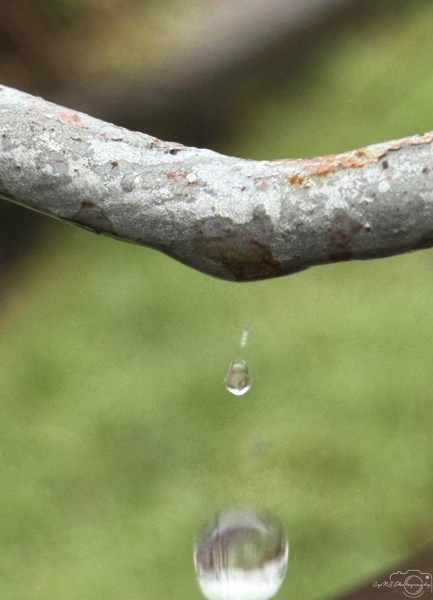 Beautiful water drop_V037 - Superbpictures