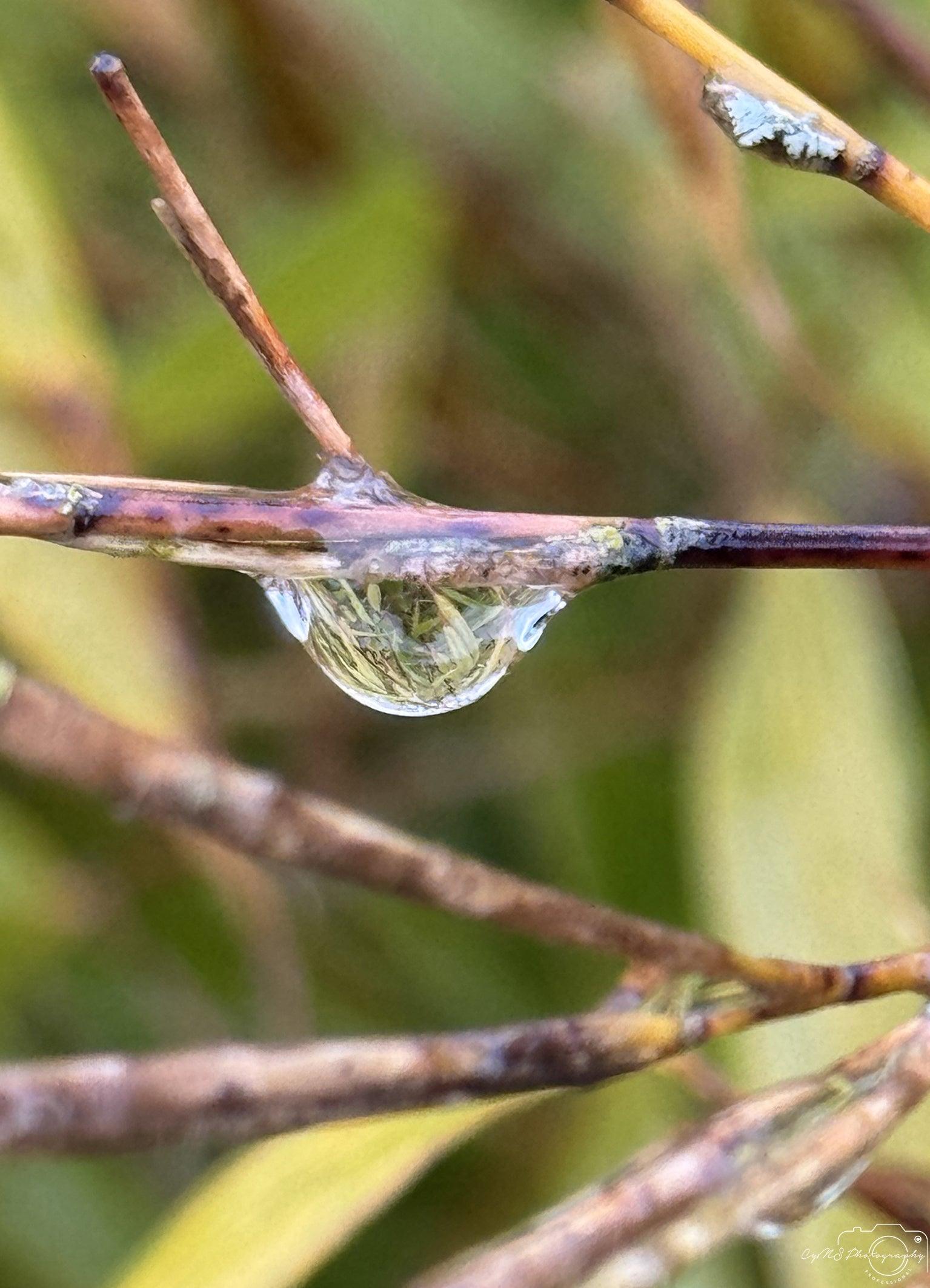 Beautiful water drop_V038 - Superbpictures