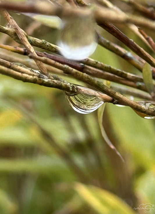 Beautiful water drop_V003 - Superbpictures