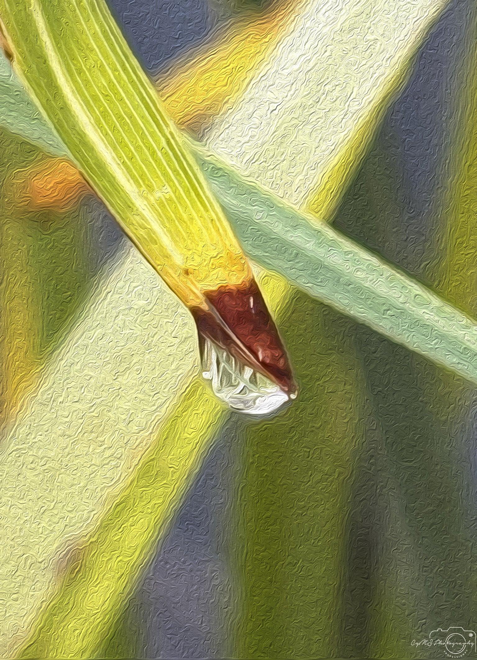 Beautiful water drop_V004_oil painting - Superbpictures