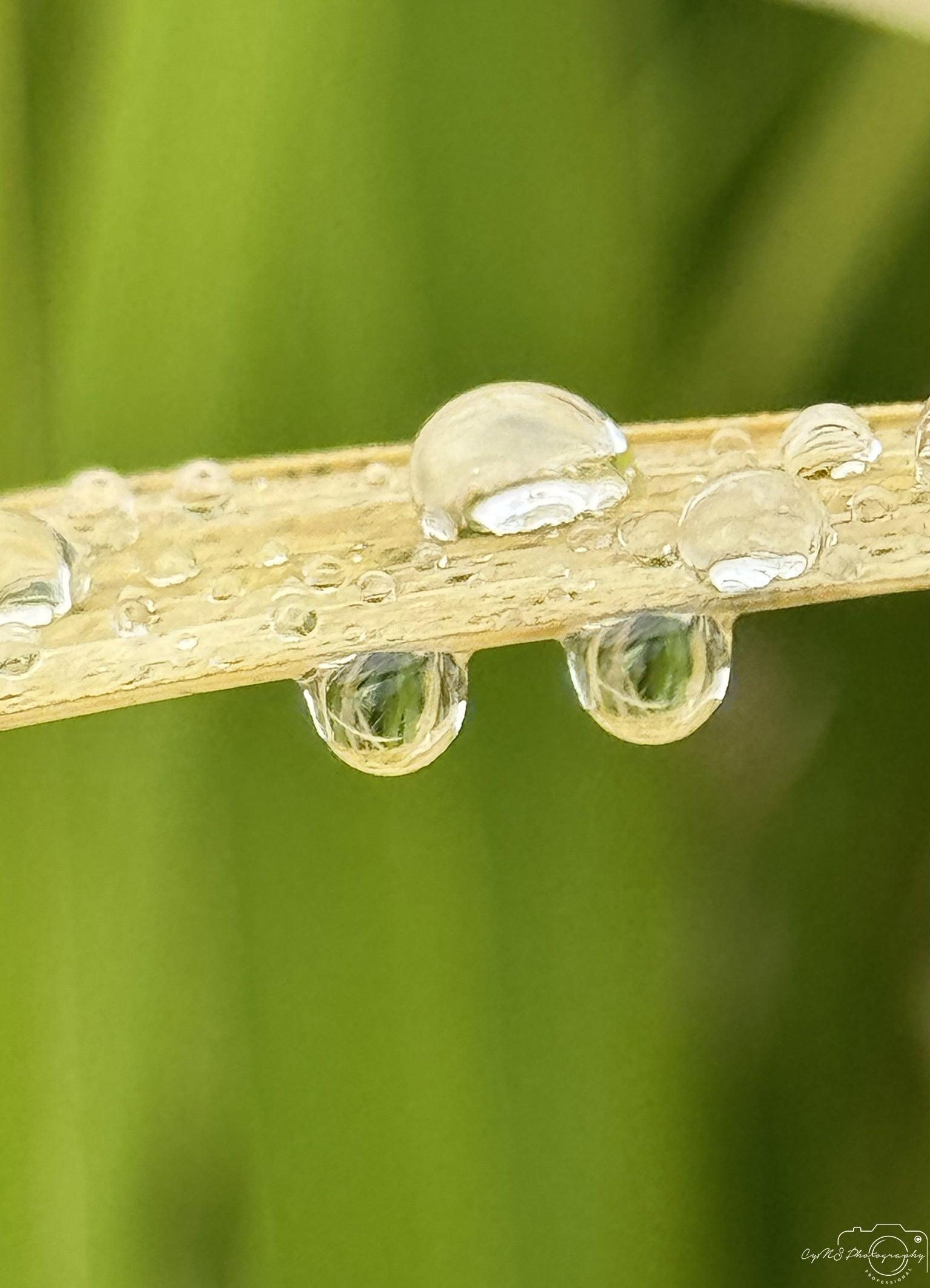 Beautiful water drop_V006 - Superbpictures