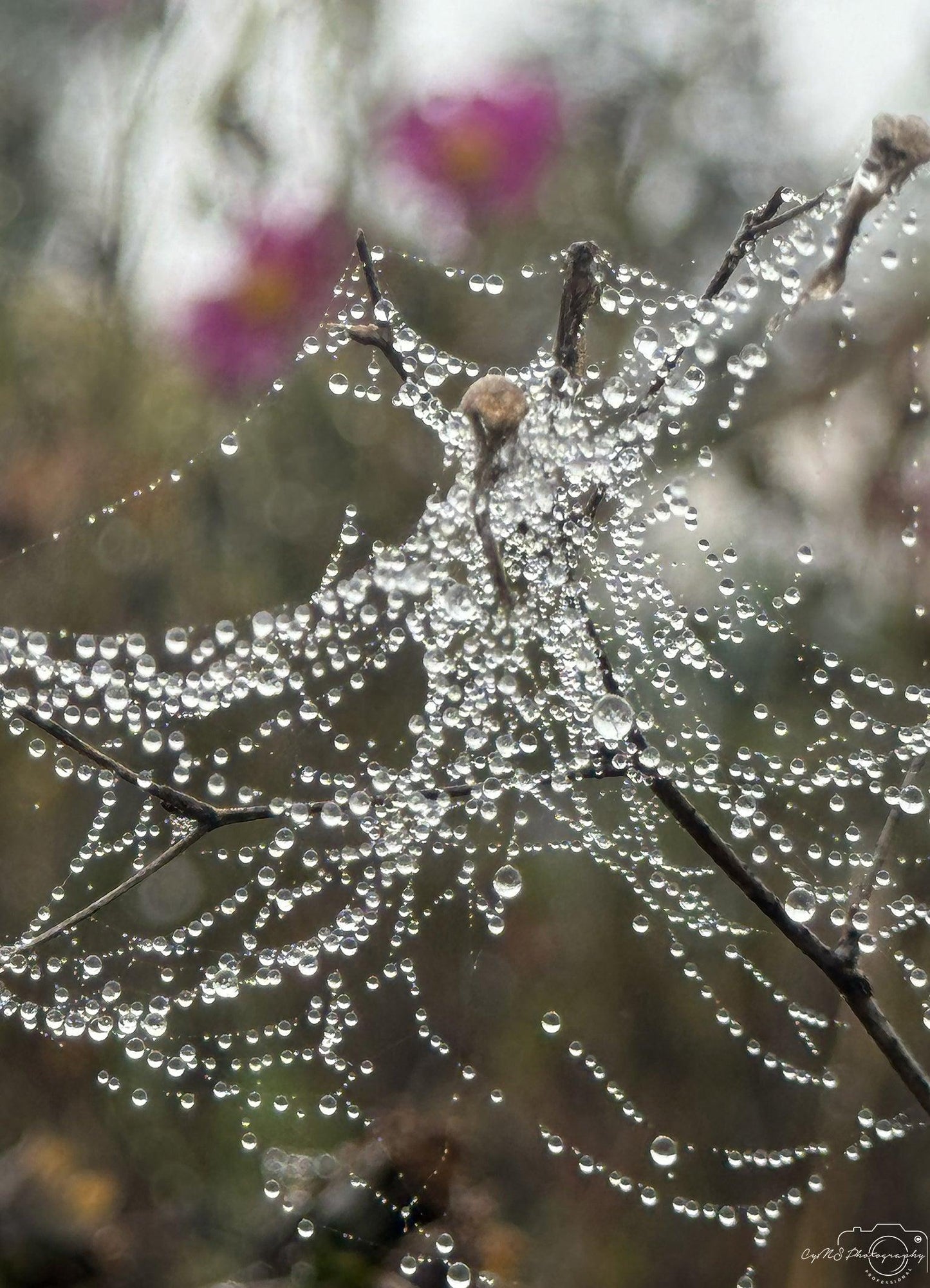 Beautiful water drop_V073 - Superbpictures