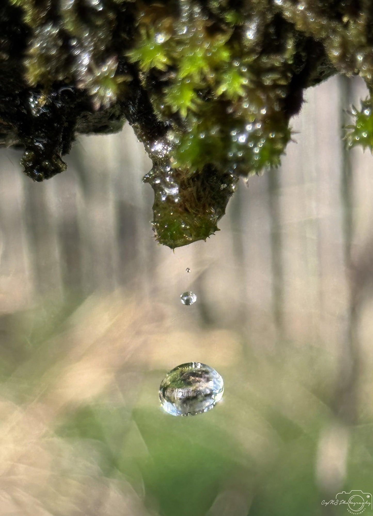 Beautiful water drop_V085 - Superbpictures