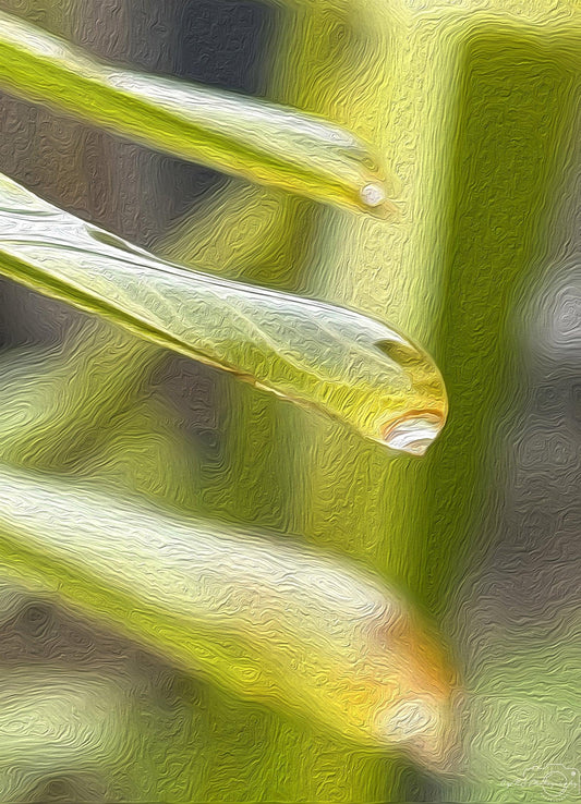 Beautiful water drop_V095_oil painting - Superbpictures