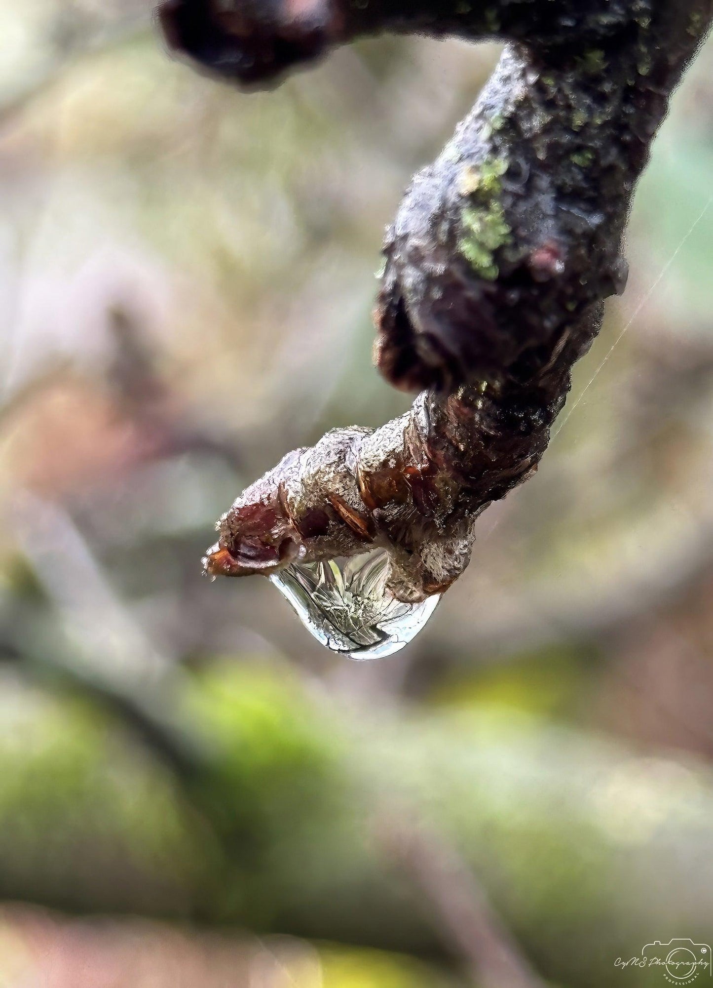 Beautiful water drop_V096 - Superbpictures